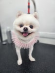 까미랑몽이