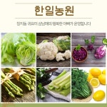 가락시장 한일농원