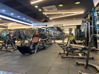 브라운휘트니스