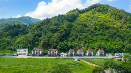 춘천 남이섬 애견 가족 전원마을 펜션