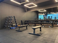 브라운휘트니스