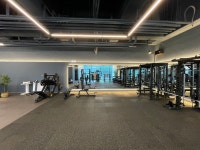 짐승Fitness