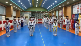 뉴세종태권도