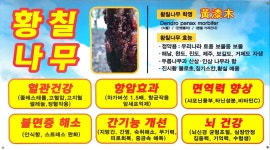 원조감나무집참옻닭오리전문점