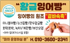 다온유통 황금잉어빵