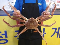 정직한대게집 수성점