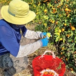 랑이준이네농장