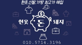 헌옷돈돼지
