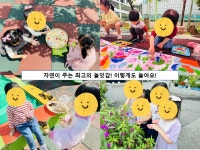 성불유치원