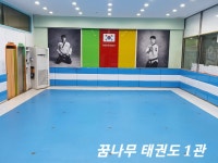 꿈나무태권도