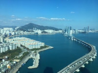 W스타공인중개사사무소