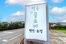 행운클로버펜션