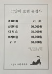 고양이호텔윤집사