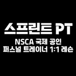 스프린트PT