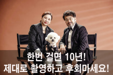 제제스튜디오 사하점