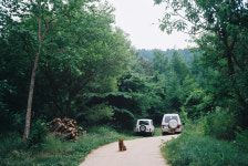 운교산방