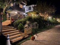 8코기네 애견펜션