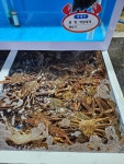 갈릴리대게회식당
