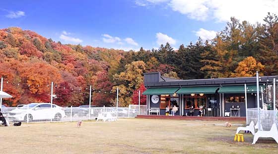 댕그라미 사진