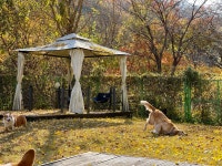 8코기네 애견펜션