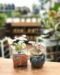 J.my flower & Deco 경산