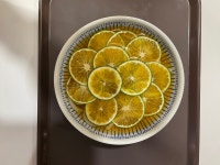 우동가조쿠 일산웨스턴돔점