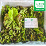 지농이유기농