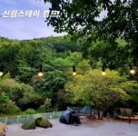 신림스테이캠프