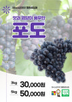 철원포도교육농장