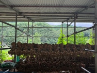 교화덕이동메밀막국수