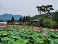 둥이네정원