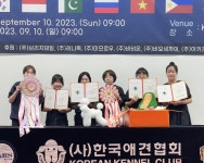 춘천애견미용학원