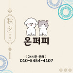 온퍼피 강아지분양 전주본점