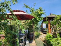 정원이있는안동펜션