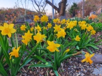 정원이있는안동펜션