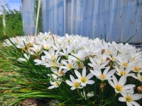 정원이있는안동펜션