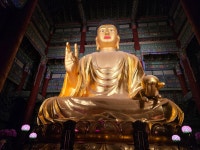 오호대장군 장비도령