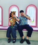 삼화동물병원