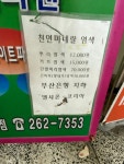 엘샤론코리아