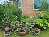 정원이있는안동펜션