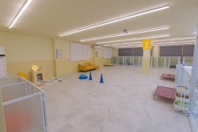 다둥반려견호텔유치원