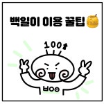 100일간의필라테스 군자점 & KPEE 필라테스