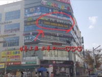 더핏점핑&온열다이어트