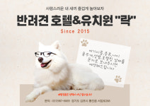 강아지유치원&애견호텔&강아지교육 락