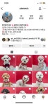 꽃분이네애견카페