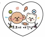 초코네애견샵