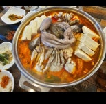 오늘손두부