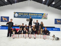 힐링독반려견센터