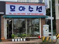 모아수선