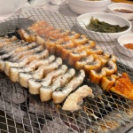 일백풍천민물장어 화명본점